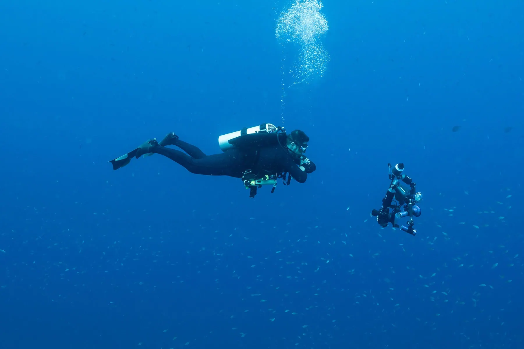 En dykare i ett blått hav 