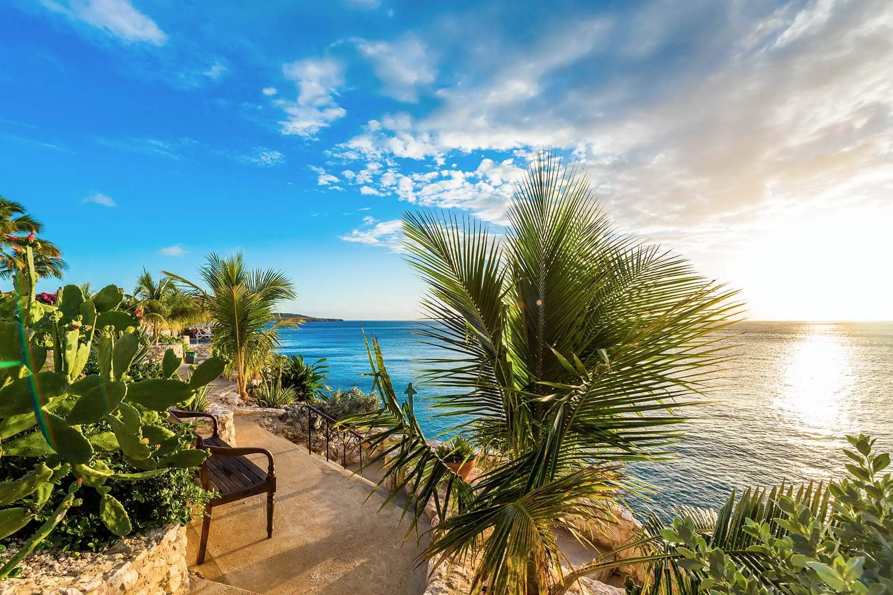En vacker solnedgång med palmer i förgrunden på Curacao