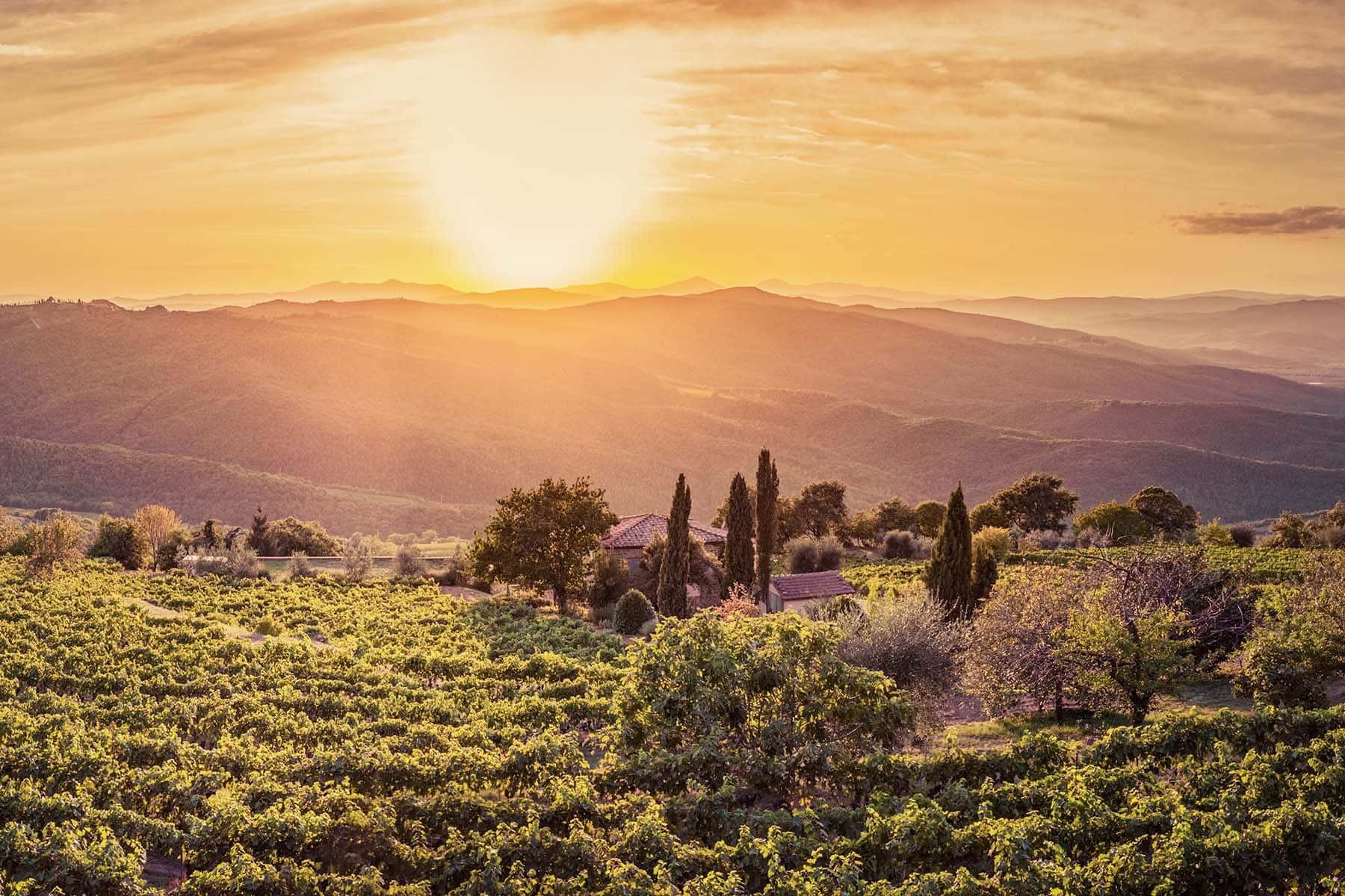 ett landskap i Italien som badar i ljuset i solnedgången