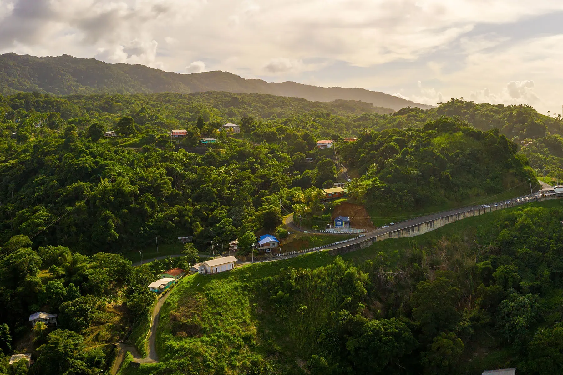 naturbild på Jamaica