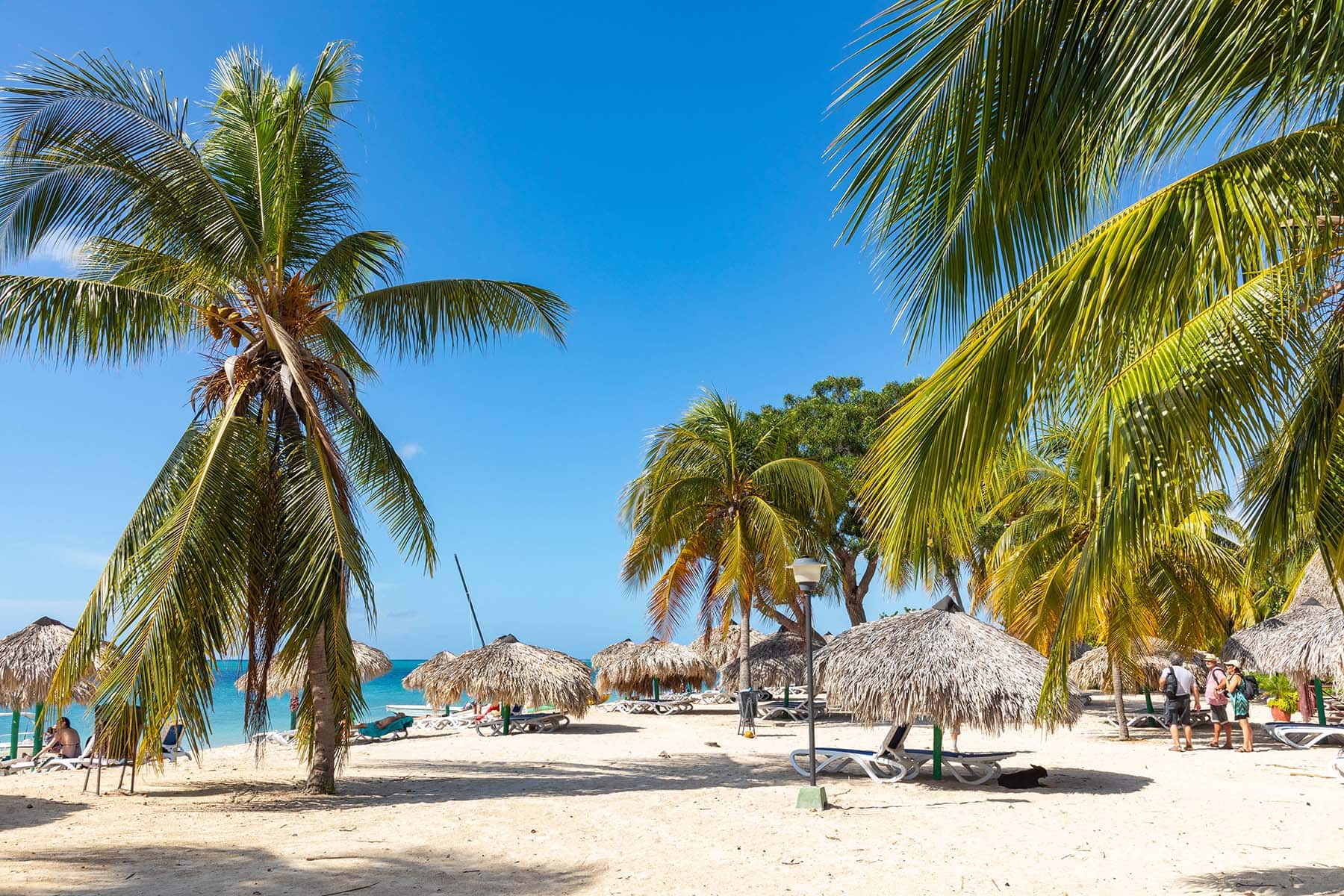 palmer och solsängar på en strand på Jamaica