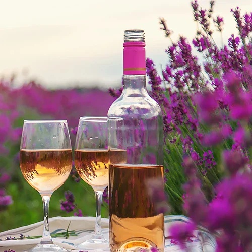 En flaska rosévin och två glas på ett bord i en blomstrande lavendelängd under solnedgången.