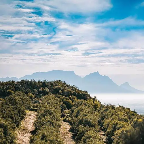 Nature scene in South Africa