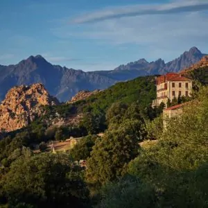 vingård i korsika i frankrike