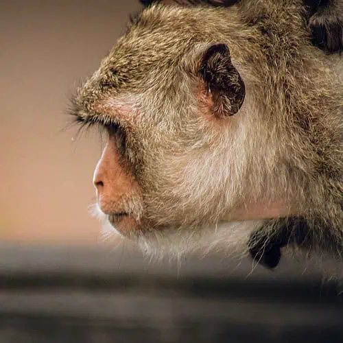 nygren lind resebyrå på rundresa