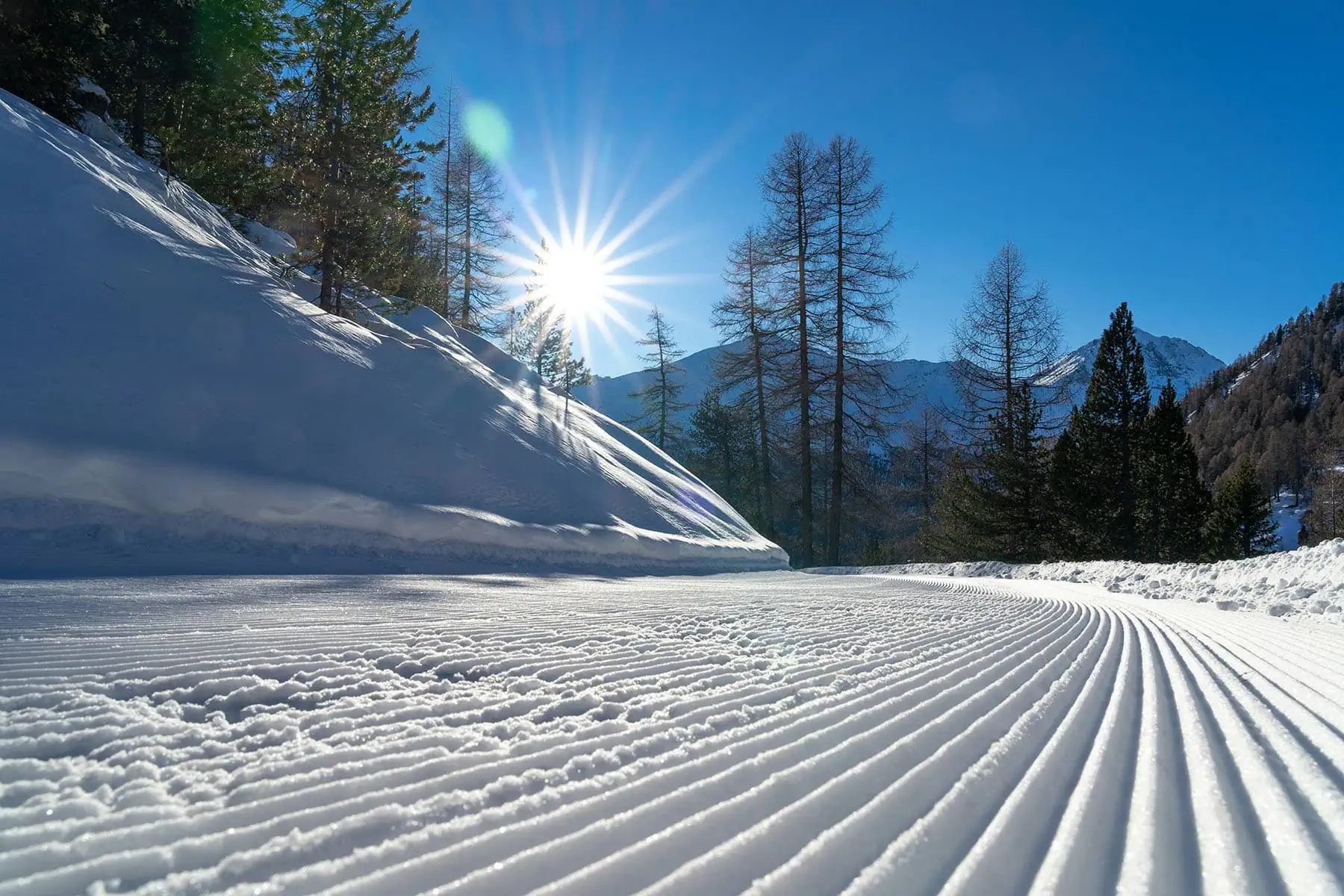 skidspår i solen