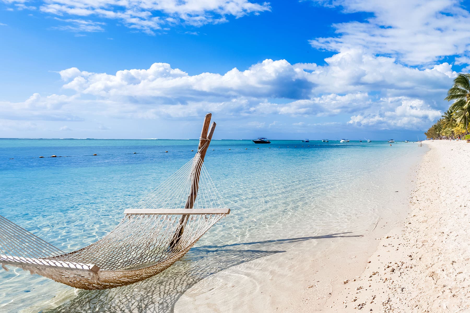 en hängmatta på en vit strand i Västindien