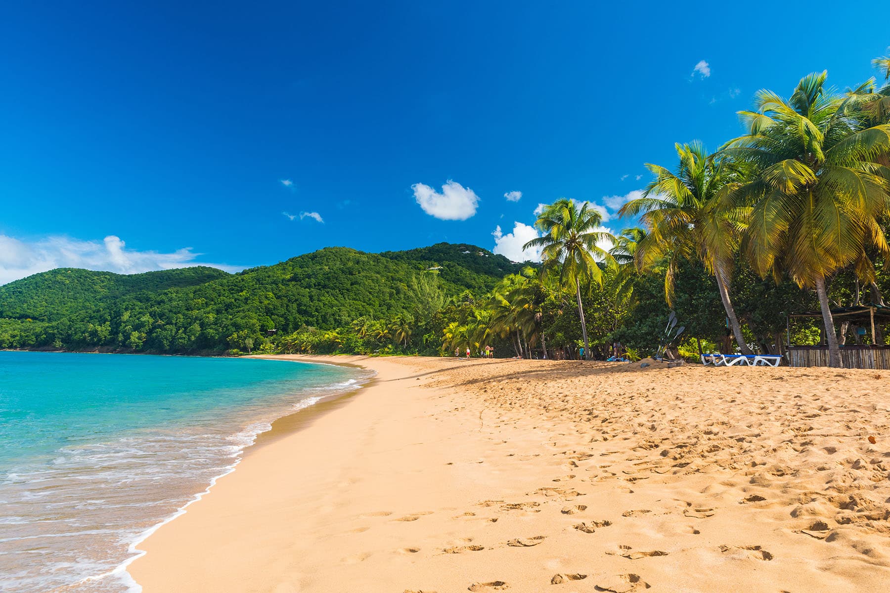 en vacker strand i Västindien med palmer och turkost hav