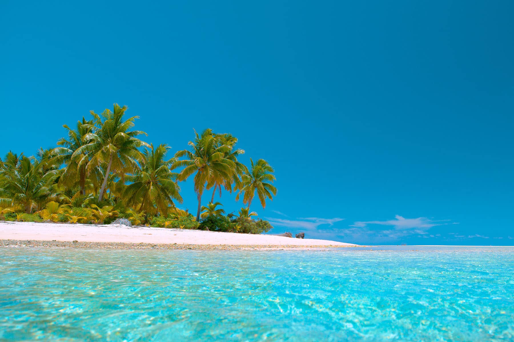 en exotisk bild av turkost hav med en strand och palmer i bakgrunden